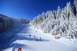 Alpin Penthouse 2 Bedroom with Fireplace and Mountain View