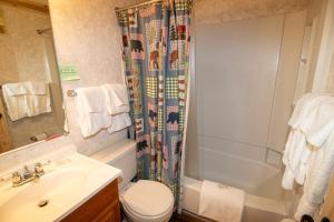 ML132 Rustic Mountain Views Wi-Fi EZ Parking 1st Floor