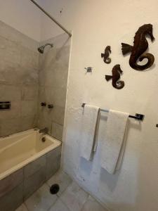 HAB PTa B ÁREA DE VILLAS DENTRO DEL HOTEL Junto al Krystal EN IXTAPA WIFI 2A 1M Con playa