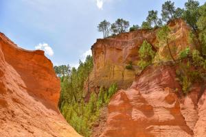 Maisons de vacances Le Bastidon des Mesanges : photos des chambres