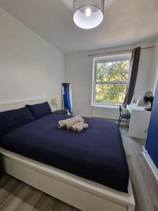Comfortable 2 bedrooms flat in Oval Central London