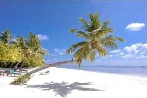 2 Bedroom Apartment In Nyali Mombasa - Nyali