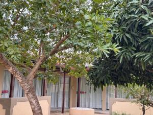 Soaring Summit Lodge