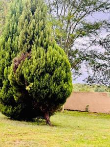 Soaring Summit Lodge