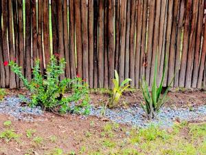 Soaring Summit Lodge