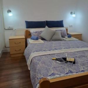 Vila Jevtic studio 4