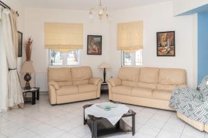 Large cozy house near the sea