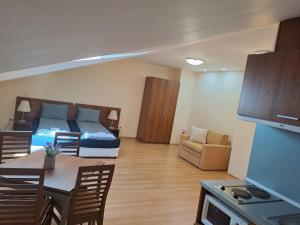 Family Studio 407, Villa park