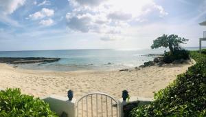 7Mile Beachfront Apartment - 4hvězdičkové hotely ve městě George Town