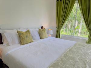 Ananda Rest-Ella
