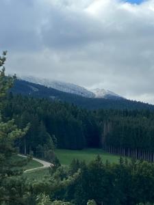 Studio plein sud face pistes et fibre HD