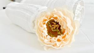 Centro Solferino Rooms