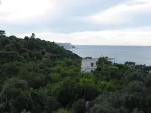 Antico agrumeto a mare - San Menaio