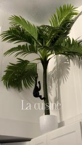 Appartements T2 parking prive, centre, plage et gare : photos des chambres