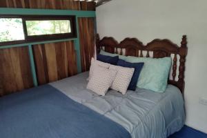 Habitación rodeada de las copas de los árboles