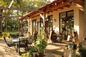 Kvareli Oaks - Shaitli