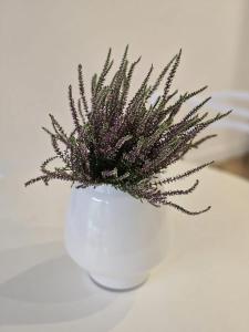 TOTie Apartament Przedmieście