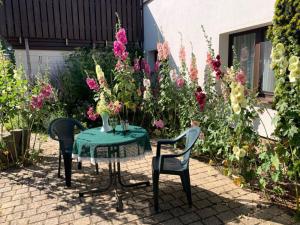 Holiday in the holiday apartment Seeigel