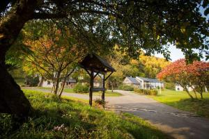 Appartements Residence des oiseaux : photos des chambres