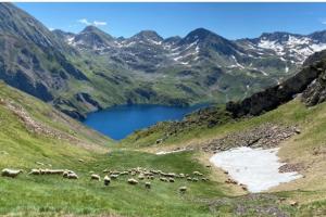 Appartements Residence des oiseaux : photos des chambres