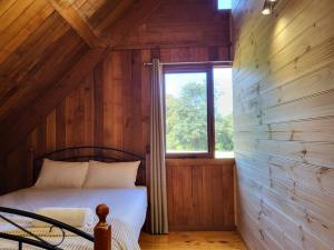 Mt Elephant Bush Retreat - Gray