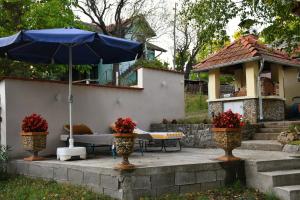 Dunavska Priča
