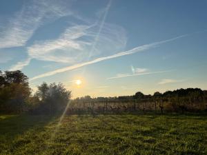 Villas Domain de Montvert - 5 min from Saint Emilion : photos des chambres
