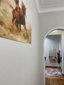 Nadasha guest house cairo view