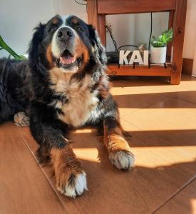 Casa Kai Mar de las Pampas