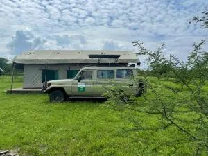 AMENITY TOURs & CAMPING SERENGETI - Mwitongo
