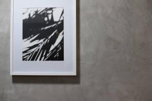 Departamento en Tepatitlán de Morelos Centro