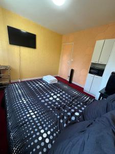 Maisons d'hotes Le Tapis Rouge Chambre Privative au Stade Pierre Fabre : photos des chambres