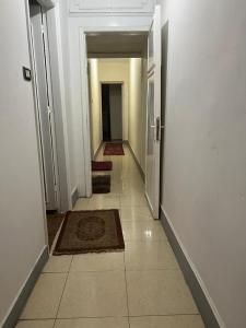 برج وادي النيل