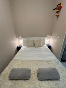 Cozy & Central MALASAÑA