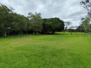 Hospedaje refugio en el Bosque