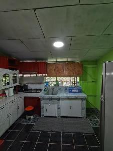 Hospedaje refugio en el Bosque