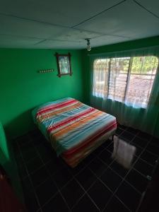 Hospedaje refugio en el Bosque