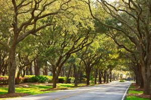 The Westin Hilton Head Island Resort & Spa
