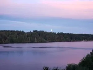 Waterfront Retreat with a sauna Pets OK - Grapeview