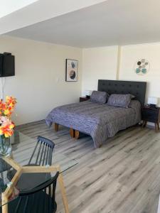 Loft con excelente ubicación en Viña del mar