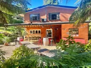 WARBURTON MOTEL - where mid-century style meets the mountains - Эйлдон