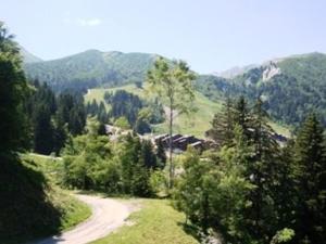 Appartement 2 pièces proche pistes avec balcon, animaux acceptés - FR-1-356-512