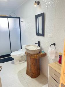 Cabaña Buchupureo