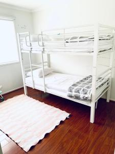 Welcome to Sunny Sanctuary