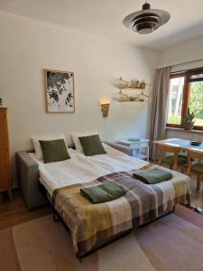 Tunnelmallinen kaksio Sunilassa