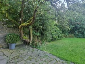 groot authentiek en charmante woning, 250 vierkante meter, panoramisch vergezicht, zonsondergang, dicht bij Dinant, Maredsous en Namen