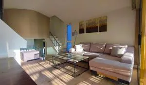 Coryfo Suite 47 - Análipsis