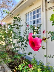 Allamanda House Meru