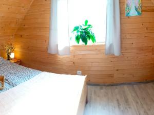 Cottage near Baltic Sea with Horse Riding