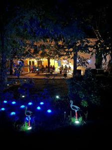 B&B / Chambres d'hotes Mas des Cigognes : photos des chambres